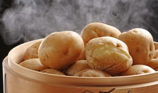 马铃薯怎么种植 马铃薯怎么种植高产