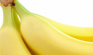 香蕉是怎么种植的 香蕉怎样种植