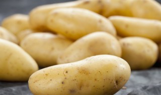 发芽的土豆怎么种植 发芽的土豆怎么种植方法视频