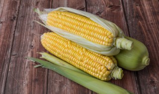 玉米常温能放多久 新鲜玉米常温能放多久