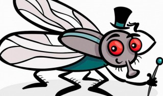 为什么苍蝇不得传染病 苍蝇会不会传染病毒