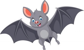 世界上最恐怖的蝙蝠是什么（世界上最凶猛的蝙蝠）