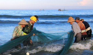 为什么夏天池塘里的鱼儿爱浮头（为什么夏天天气闷热时池塘中的鱼常有浮头的现象）