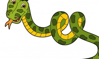 蛇为什么能吞下很大的动物 蛇为什么能吞下很大的动物读后感
