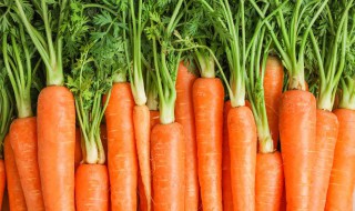 胡萝卜放冰箱可以放多久 切好的胡萝卜放冰箱可以放多久