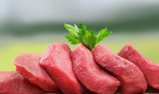 肉一般能在冰箱放多久（肉在冰箱可以放多久）