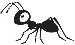 蚂蚁为什么认识寻找食物的路径 蚂蚁为什么认识寻找食物的路径呢