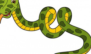 为什么响尾蛇的尾巴会响原理是什么 尾巴会响的蛇是什么蛇