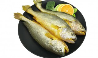 为什么黄花鱼的鱼头里会有小石头 为什么黄花鱼的鱼头里会有小石头和小鱼