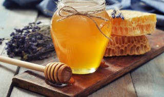蜜蜂的蜂蜜是如何形成的 蜂蜜是蜜蜂如何产生的