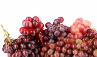 红提子葡萄可以酿葡萄酒吗（葡萄能和提子一起酿葡萄酒吗）