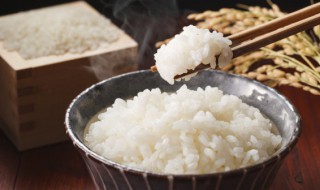 蒸米饭的比例是多少（电饭煲蒸米饭的比例是多少）