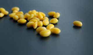 黄豆什么季节成熟 黄豆的成熟期