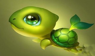 为什么绿毛龟身上能长出绿毛 为什么绿毛龟的身上会长