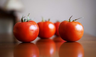 盆栽西红柿的种植方法（盆栽西红柿的种植方法和时间）