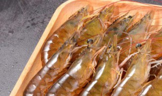 日本车虾的养殖方法 养殖日本对虾的最新技术
