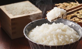 米饭在保温6小时能吃吗 米饭保温多久不能吃