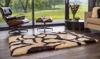 纯毛地毯如何保养 羊毛地毯怎样保养