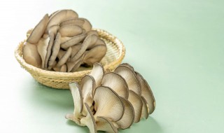 清炒蘑菇怎么做 清炒蘑菇的家常做法