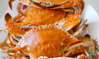 梭子蟹煮几分钟可以吃 煮熟梭子蟹多久不能吃