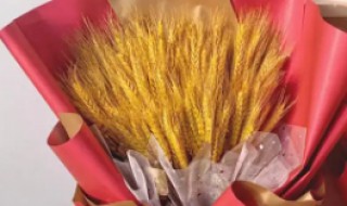 麦穗干花的寓意是什么 麦穗干花的寓意