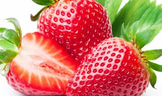 草莓的无土栽培技术 草莓的无土栽培技术论文
