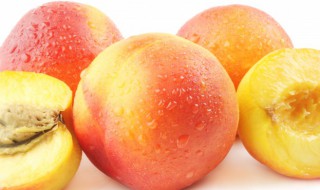 桃子可以放冰箱里保鲜吗 桃子可不可以放冰箱保鲜