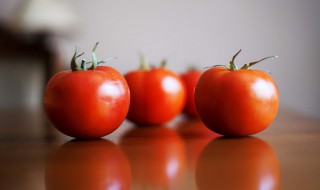 种植西红柿的方法（种植西红柿的方法和步骤）