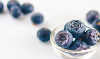 水果店蓝莓怎么保存 买回来的蓝莓怎么保存