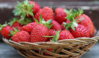南方种植草莓几月份种植最好呢 南方什么时候种草莓合适