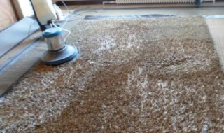 有人了解晴纶地毯怎么清洗吗 涤纶地毯怎么清洗