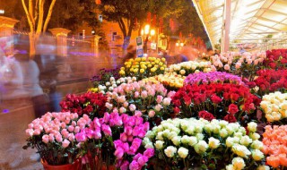 以花卉命名的是哪个城市（以花卉命名的是哪座城市?）