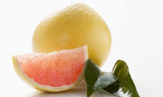柚子属于什么类植物（柚子属于什么植物?）