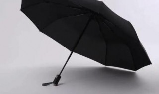 内黑胶太阳伞能淋雨吗（黑色黑胶雨伞可以遮阳吗）