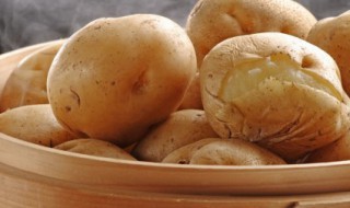 土豆怎么保存的更久 土豆如何保存更长时间