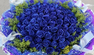 蓝玫瑰和紫玫瑰的含义是什么 紫色玫瑰和蓝色玫瑰寓意是什么