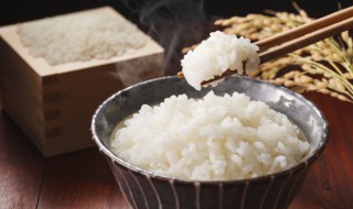微波炉煮米饭的做法（微波炉煮米饭怎么做）
