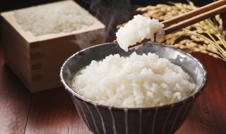 米饭怎么保存 米饭怎么保存不会馊