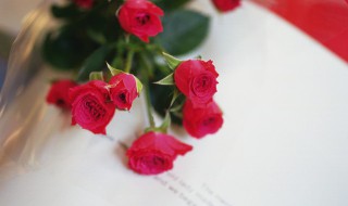 玫瑰花与玫瑰果有什么区别呢 什么是玫瑰果?
