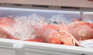 鲜鱼如何在冰箱保鲜（怎样用冰箱保存鲜鱼）