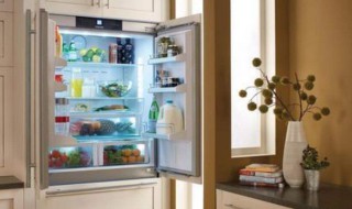 怎么挑选冰箱质量好坏 怎样选择冰箱的好坏