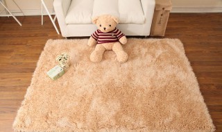 家庭地毯清洗 家庭地毯清洗的方法如下