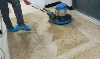 如何清洗大面积地毯 怎么清洗大面积地毯