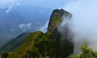 鸡公山海拔多少米 鸡公山海拔多高