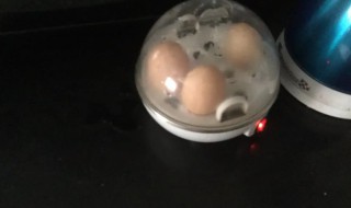 迪士尼煮蛋器怎么使用（迪士尼鸡蛋怎么做的）
