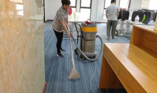 大面积的地毯应该怎么人工清洗 大面积的地毯应该怎么人工清洗呢