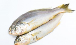 新鲜鱼放冰箱冷藏室可以放几天 新鲜的鱼放冰箱冷藏可以放几天