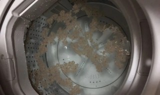 手动洗衣机里面的脏东西怎样清理 手动洗衣机里面的脏东西怎样清理出来