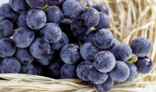 吃不到葡萄说葡萄酸的出处 吃不到葡萄说葡萄酸源于