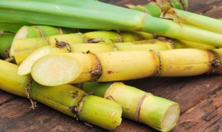 甘蔗常用扦插的方法进行繁殖 甘蔗是嫁接还是扦插